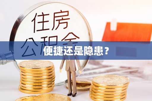 景洪便捷还是隐患？