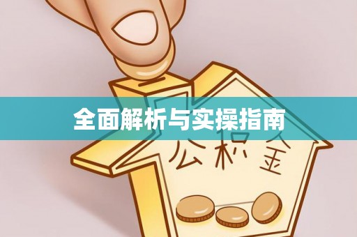 景洪全面解析与实操指南