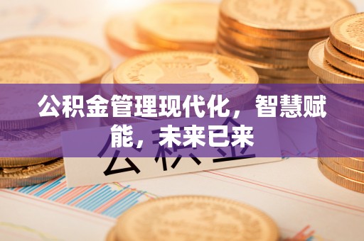 景洪公积金管理现代化，智慧赋能，未来已来