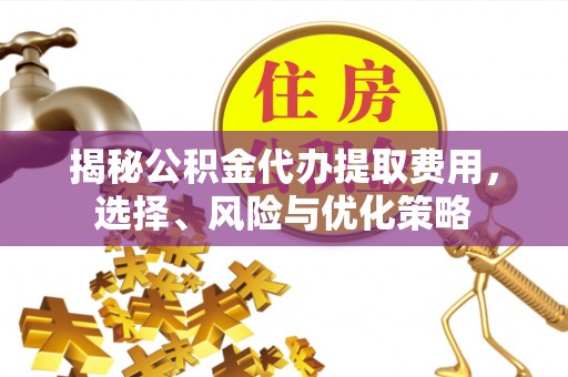 景洪揭秘公积金代办提取费用，选择、风险与优化策略