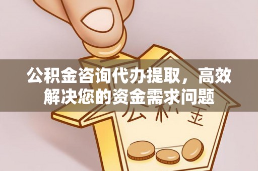 景洪公积金咨询代办提取，高效解决您的资金需求问题