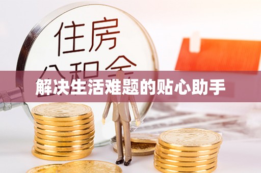 景洪解决生活难题的贴心助手