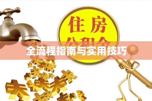 景洪全流程指南与实用技巧