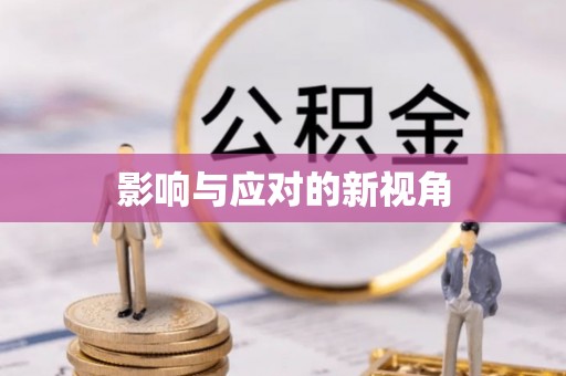景洪影响与应对的新视角