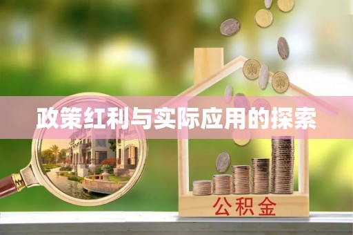 景洪政策红利与实际应用的探索