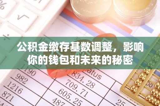 景洪公积金缴存基数调整，影响你的钱包和未来的秘密