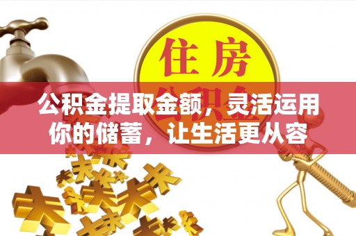 景洪公积金提取金额，灵活运用你的储蓄，让生活更从容