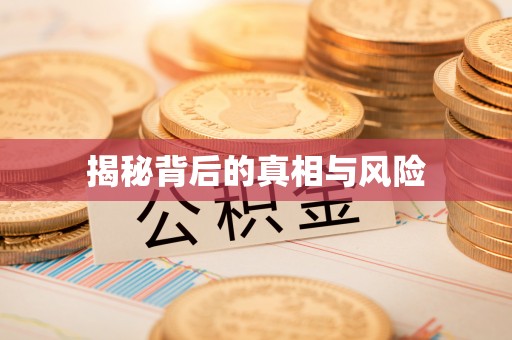 景洪揭秘背后的真相与风险