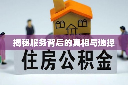 景洪揭秘服务背后的真相与选择