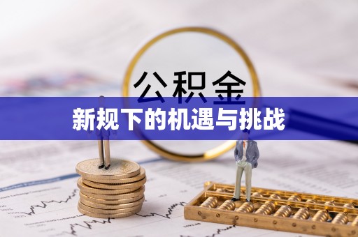 景洪新规下的机遇与挑战