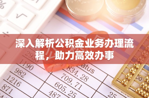 景洪深入解析公积金业务办理流程，助力高效办事