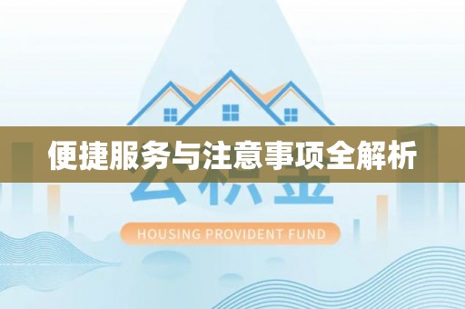景洪便捷服务与注意事项全解析