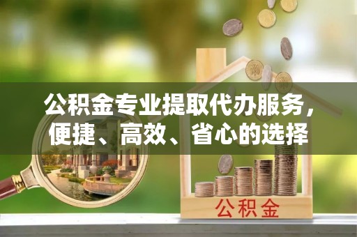 景洪公积金专业提取代办服务，便捷、高效、省心的选择