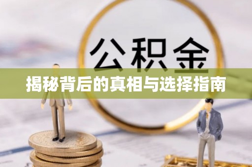 景洪揭秘背后的真相与选择指南
