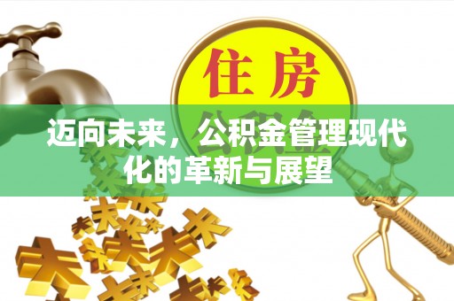 景洪迈向未来，公积金管理现代化的革新与展望