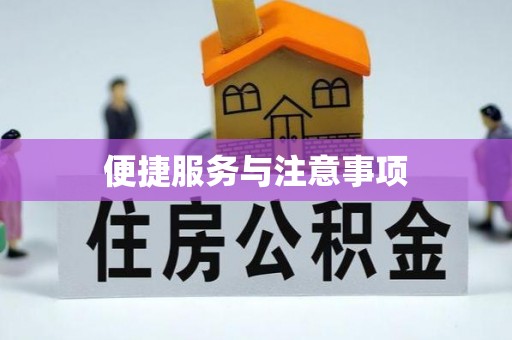 景洪便捷服务与注意事项