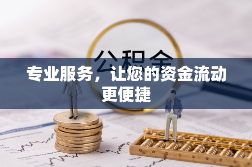 景洪专业服务，让您的资金流动更便捷