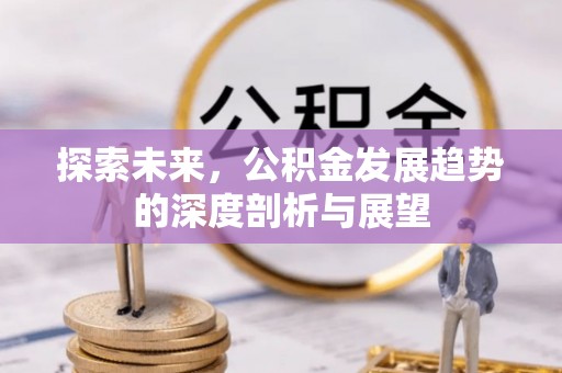 景洪探索未来，公积金发展趋势的深度剖析与展望