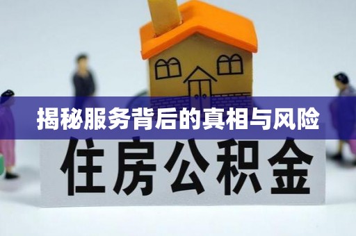 景洪揭秘服务背后的真相与风险