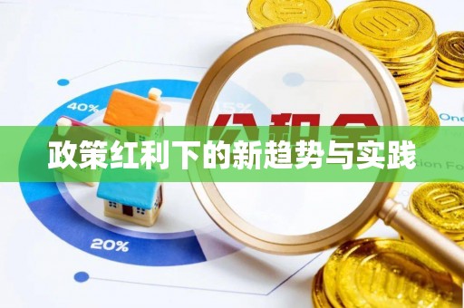 景洪政策红利下的新趋势与实践