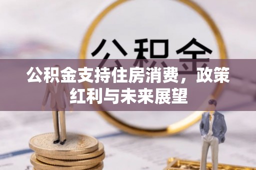 景洪公积金支持住房消费，政策红利与未来展望