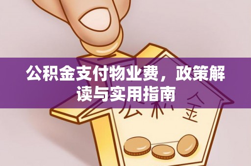 景洪公积金支付物业费，政策解读与实用指南