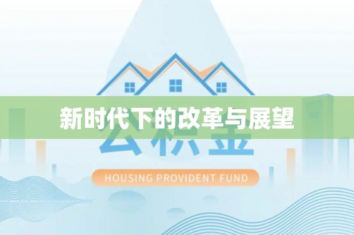 景洪新时代下的改革与展望