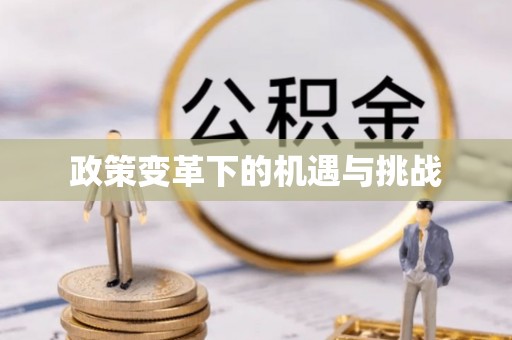 景洪政策变革下的机遇与挑战