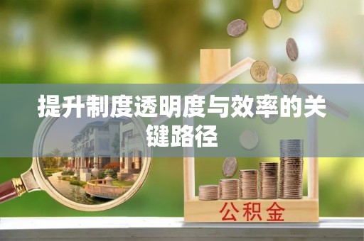 景洪提升制度透明度与效率的关键路径
