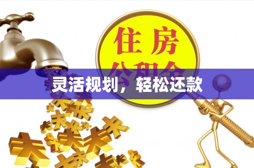 景洪灵活规划，轻松还款