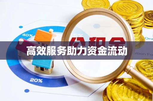 景洪高效服务助力资金流动