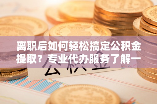 景洪离职后如何轻松搞定公积金提取？专业代办服务了解一下