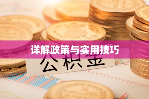 景洪详解政策与实用技巧